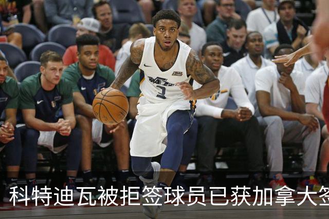科特迪瓦被拒签球员已获加拿大签证 有望登场出战德国