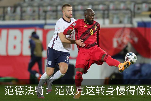 范德法特：范戴克这转身慢得像波音747，这可不是什么好事
