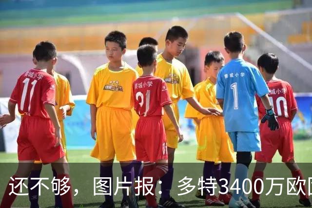 还不够，图片报：多特3400万欧固定费用+600万欧奖金报价马拉