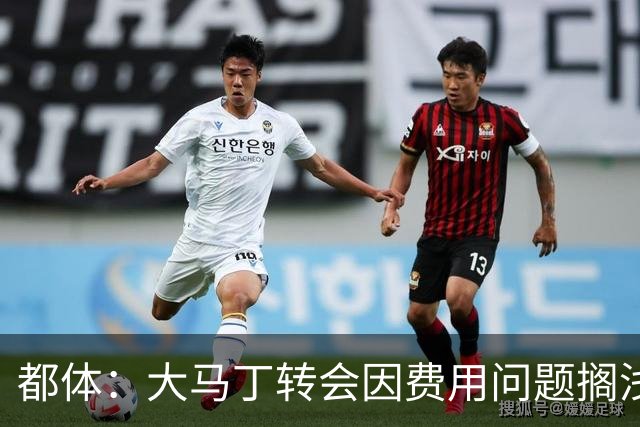 都体：大马丁转会因费用问题搁浅，尤文转而瞄准铃木彩艳维卡里奥